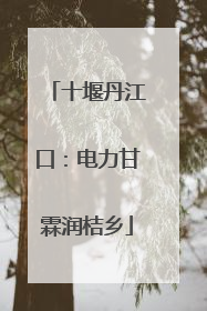 十堰丹江口：电力甘霖润桔乡