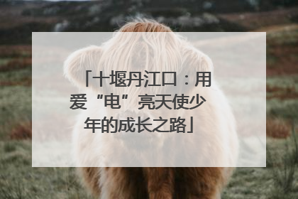十堰丹江口：用爱“电”亮天使少年的成长之路