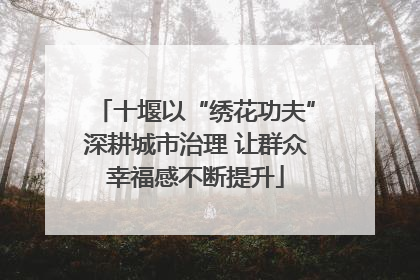 十堰以“绣花功夫”深耕城市治理 让群众幸福感不断提升