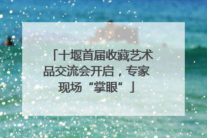 十堰首届收藏艺术品交流会开启，专家现场“掌眼”