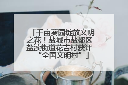 千亩葵园绽放文明之花！盐城市盐都区盐渎街道花吉村获评“全国文明村”