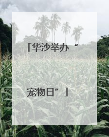 华沙举办“宠物日”
