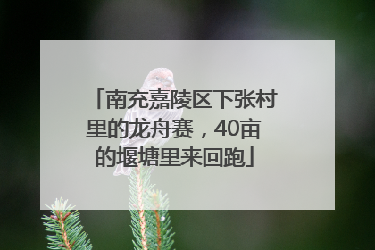 南充嘉陵区下张村里的龙舟赛，40亩的堰塘里来回跑