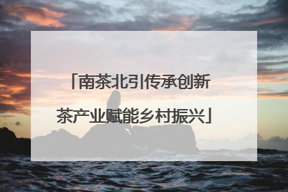 南茶北引传承创新 茶产业赋能乡村振兴