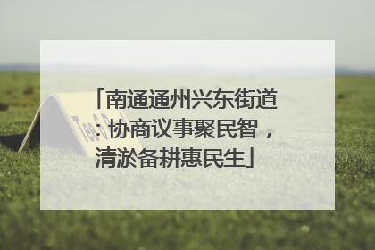 南通通州兴东街道：协商议事聚民智，清淤备耕惠民生