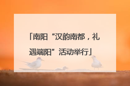 南阳“汉韵南都，礼遇端阳”活动举行
