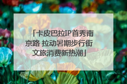卡皮巴拉IP首秀南京路 拉动暑期步行街文旅消费新热潮