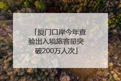 厦门口岸今年查验出入境旅客量突破200万人次