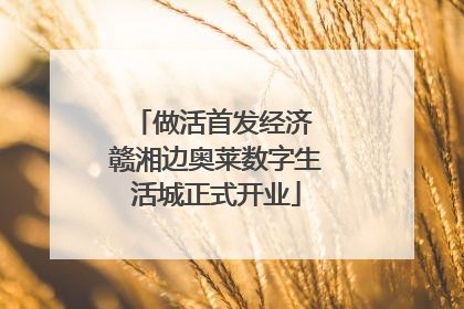 做活首发经济 赣湘边奥莱数字生活城正式开业