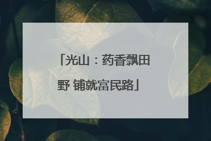光山：药香飘田野 铺就富民路