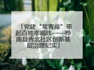 党建“常青藤”牵起百姓幸福线——桦南县秀北社区创新基层治理纪实