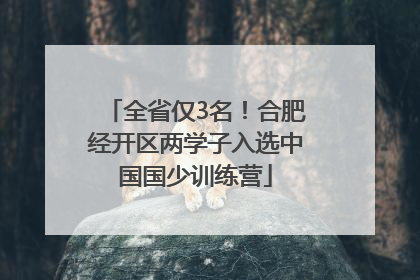全省仅3名！合肥经开区两学子入选中国国少训练营