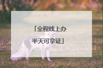 全程线上办 半天可拿证