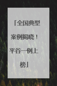 全国典型案例揭晓！平谷一例上榜