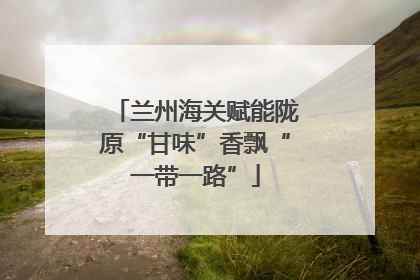 兰州海关赋能陇原“甘味”香飘“一带一路”
