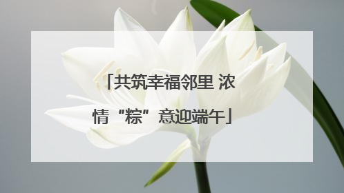 共筑幸福邻里 浓情“粽”意迎端午