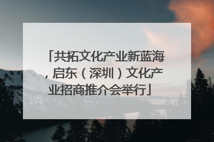 共拓文化产业新蓝海，启东（深圳）文化产业招商推介会举行