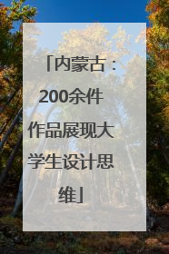 内蒙古：200余件作品展现大学生设计思维