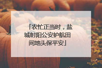 农忙正当时，盐城射阳公安护航田间地头保平安