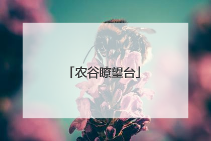农谷瞭望台