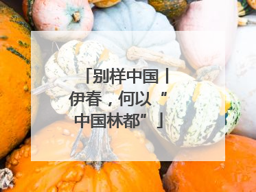 别样中国丨伊春，何以“中国林都”