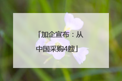 加企宣布：从中国采购4艘