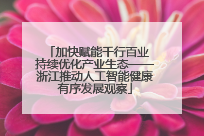 加快赋能千行百业 持续优化产业生态——浙江推动人工智能健康有序发展观察