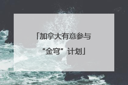 加拿大有意参与“金穹”计划