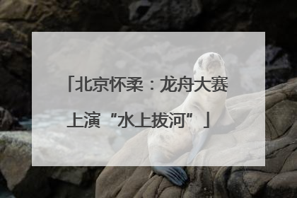 北京怀柔：龙舟大赛上演“水上拔河”