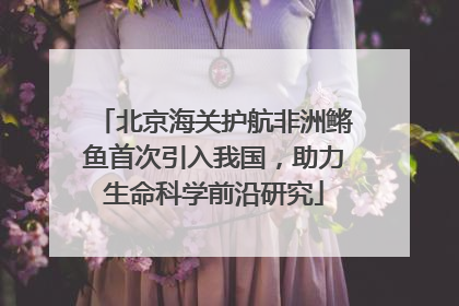 北京海关护航非洲鳉鱼首次引入我国，助力生命科学前沿研究