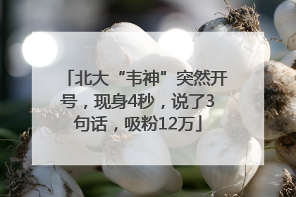 北大“韦神”突然开号，现身4秒，说了3句话，吸粉12万