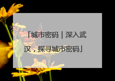 城市密码｜深入武汉，探寻城市密码