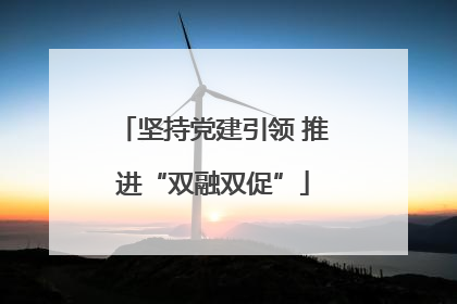 坚持党建引领 推进“双融双促”