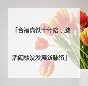 合福高铁十年路，激活闽赣皖发展新脉络