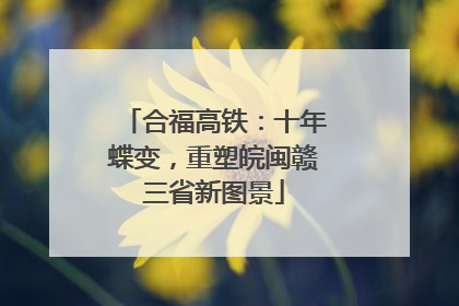 合福高铁：十年蝶变，重塑皖闽赣三省新图景