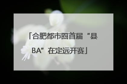 合肥都市圈首届“县BA”在定远开赛