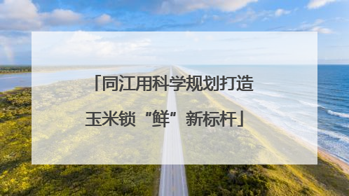 同江用科学规划打造玉米锁“鲜”新标杆
