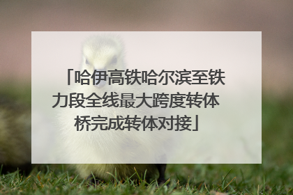 哈伊高铁哈尔滨至铁力段全线最大跨度转体桥完成转体对接
