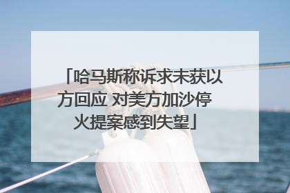 哈马斯称诉求未获以方回应 对美方加沙停火提案感到失望