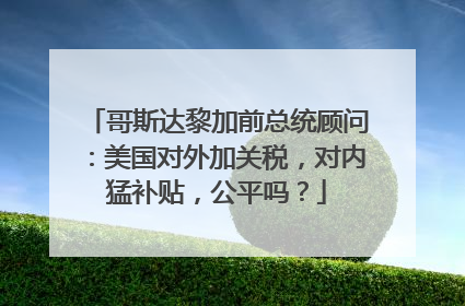 哥斯达黎加前总统顾问：美国对外加关税，对内猛补贴，公平吗？