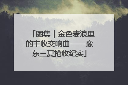 图集｜金色麦浪里的丰收交响曲——豫东三夏抢收纪实
