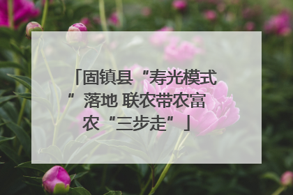 固镇县“寿光模式”落地 联农带农富农“三步走”