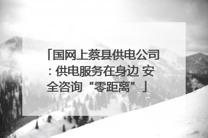 国网上蔡县供电公司：供电服务在身边 安全咨询“零距离”