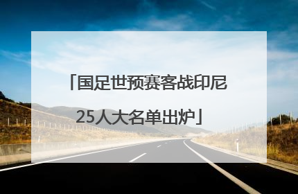 国足世预赛客战印尼25人大名单出炉