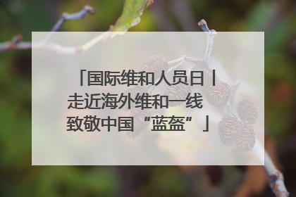 国际维和人员日丨走近海外维和一线 致敬中国“蓝盔”