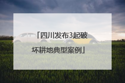 四川发布3起破坏耕地典型案例