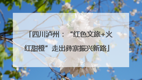 四川泸州：“红色文旅+火红甜橙”走出彝寨振兴新路