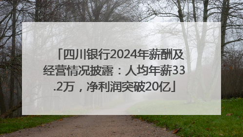四川银行2024年薪酬及经营情况披露：人均年薪33.2万，净利润突破20亿