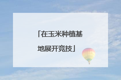 在玉米种植基地展开竞技