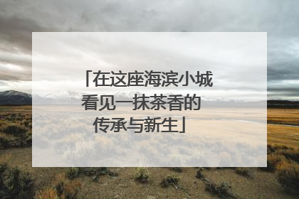 在这座海滨小城 看见一抹茶香的传承与新生